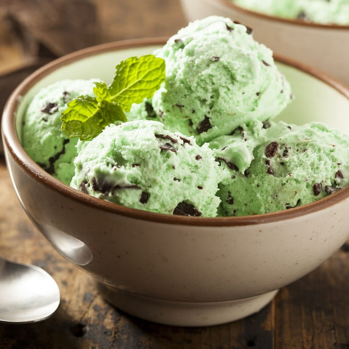 Creamy Mint Chocolate Chip Ice Cream